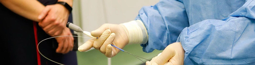 Фото: Антон Вергун