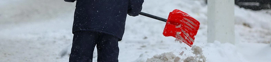 Фото: Антон Вергун