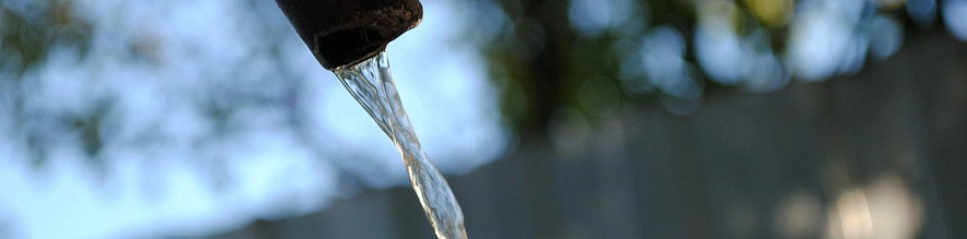 Фото: Сергей Егоров