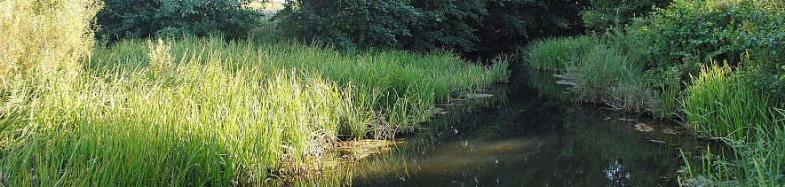 Фото: Сергей Егоров