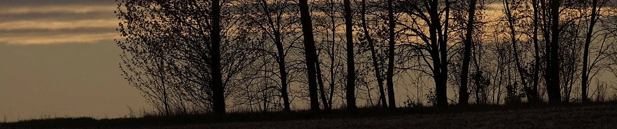 Фото: Сергей Егоров