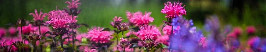 Фото: телеграм-канал Валентина Демидова