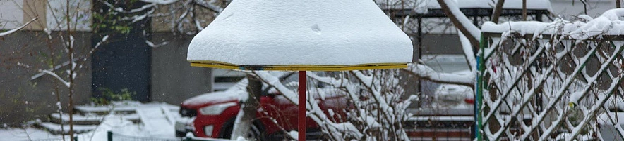 Фото: Антон Вергун