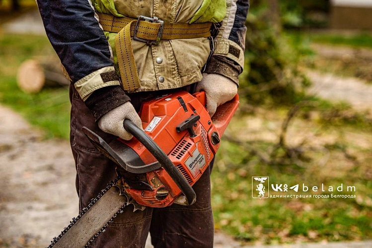 Фото: пресс-служба мэрии Белгорода