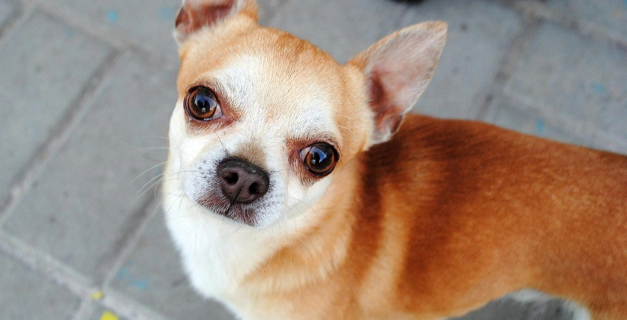 Фото: Сергей Егоров