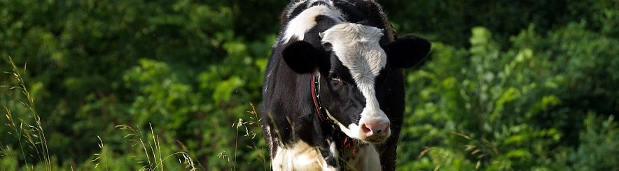 Фото: Сергей Егоров