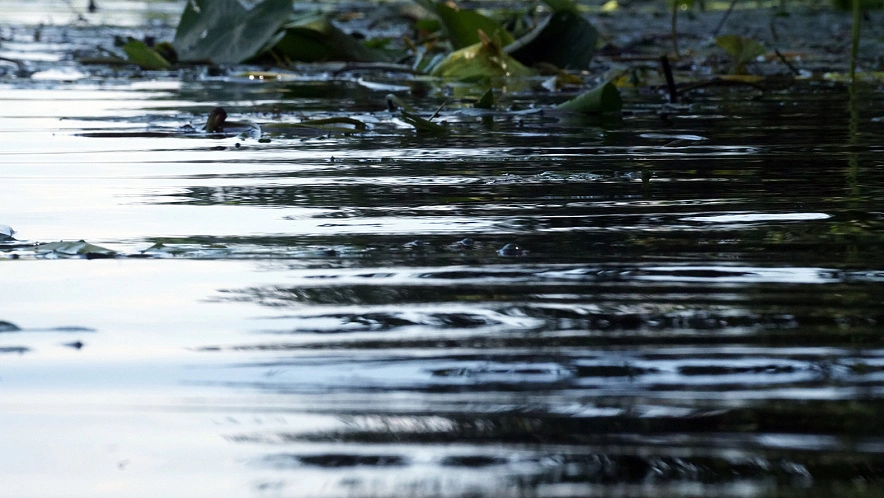 Фото: Сергей Егоров