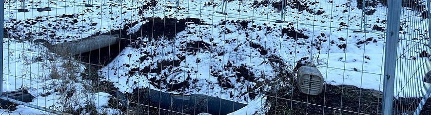 Фото: Анна Григор