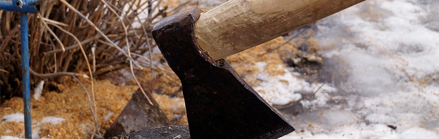 Фото: Сергей Егоров