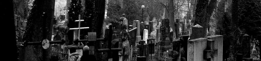 Фото: Сергей Егоров