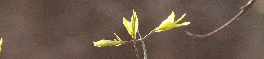 Фото: Сергей Егоров