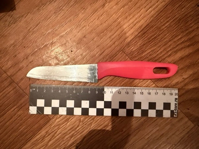 Фото: пресс-служба УМВД по Белгородской области