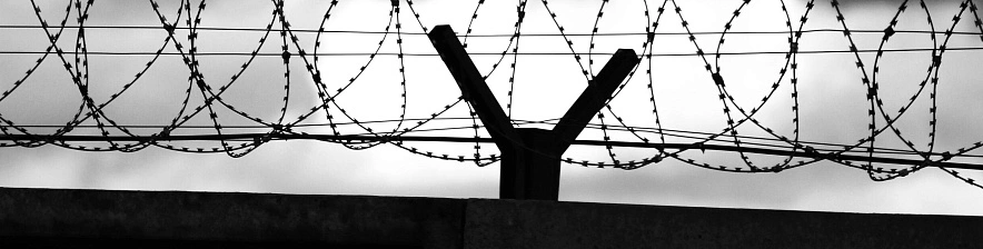 Фото: Сергей Егоров