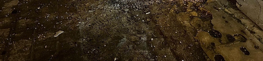 Фото: Анна Григор