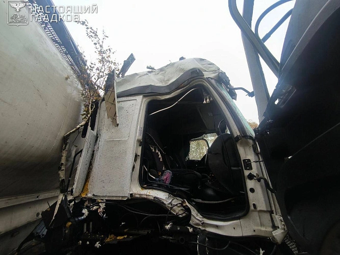 Фото: соцсети Вячеслава Гладкова