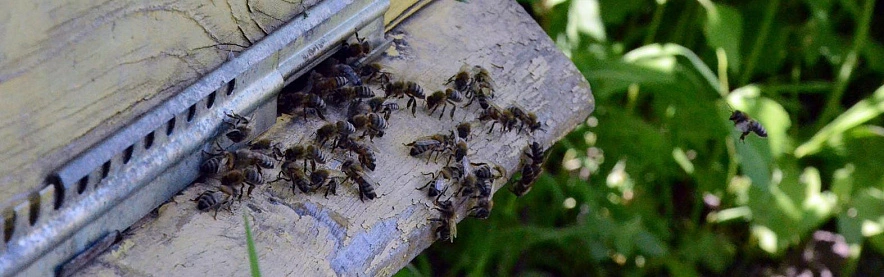 Фото: Сергей Егоров