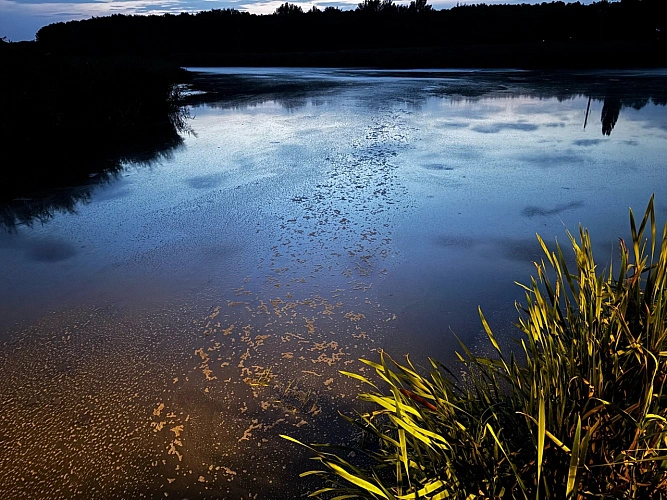 Фото: комментарии под публикацией Вячеслава Гладкова