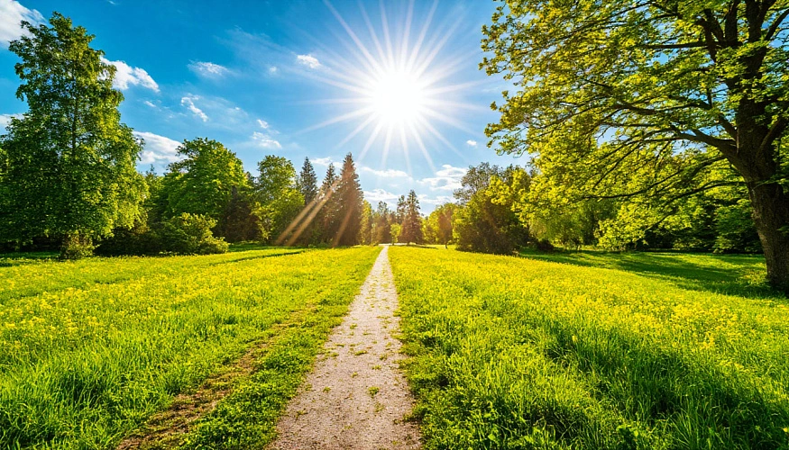 Фото: Шедеврум