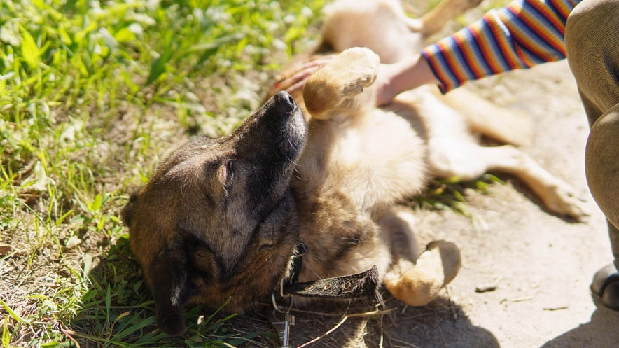 Фото: Дмитрий Мясников