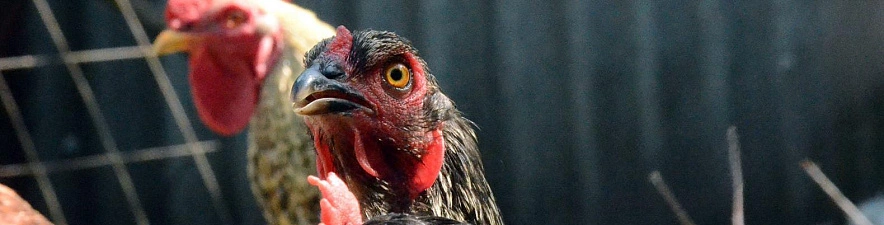 Фото: Сергей Егоров