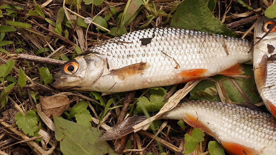 Фото: Сергей Егоров