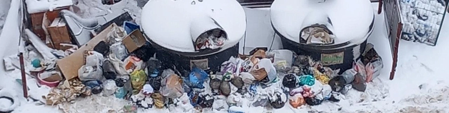 Фото: Елена Викторовна