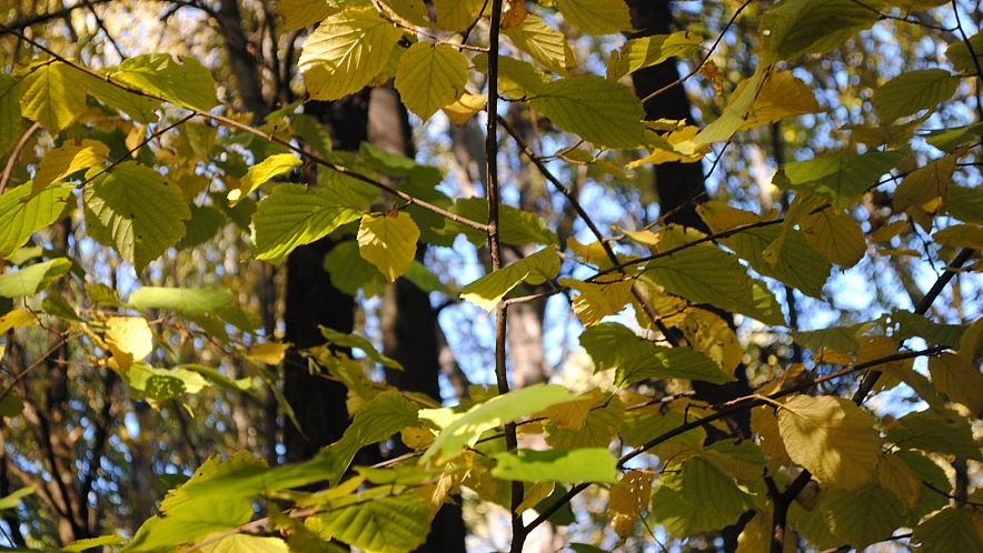Фото: Сергей Егоров