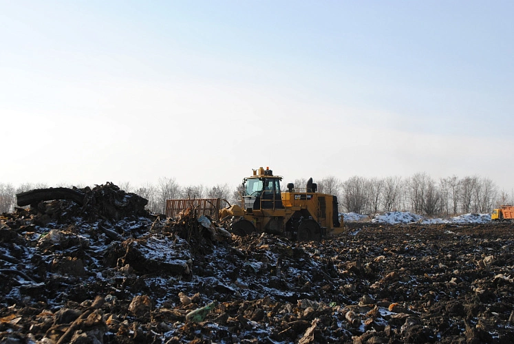 Фото: Анна Григор