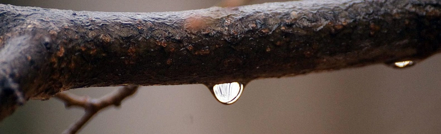 Фото: Сергей Егоров