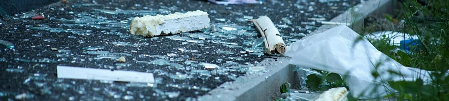 Фото: Валерия Алисова