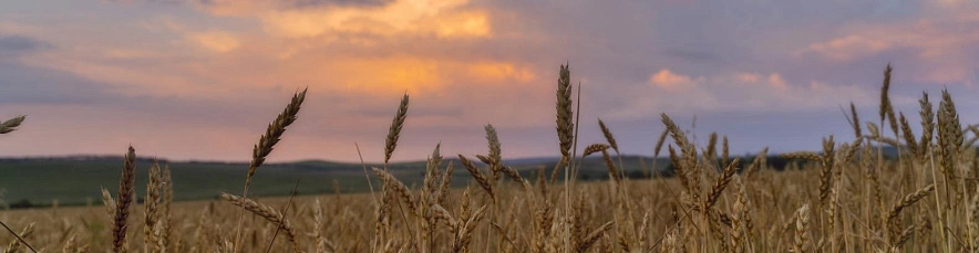 Фото: Юлия Мальцева