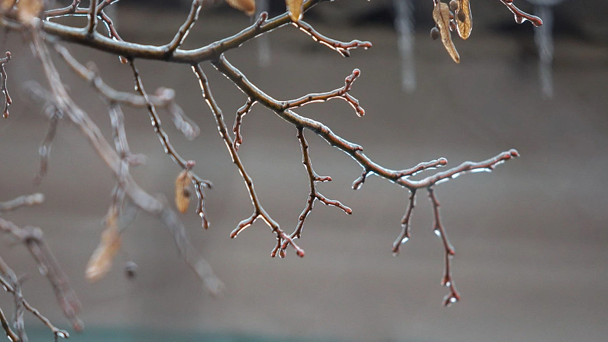 Фото: Антон Вергун