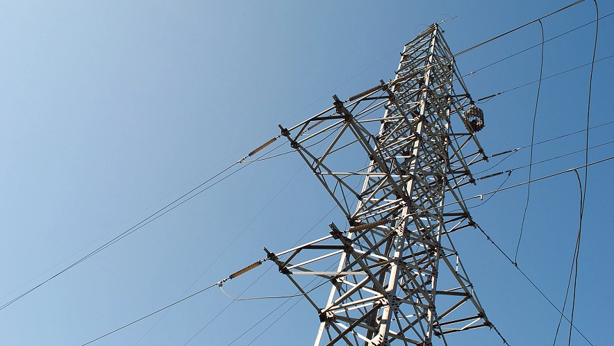 Фото: Сергей Егоров 