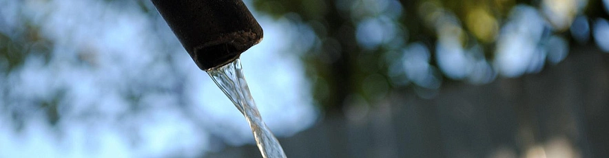 Фото: Сергей Егоров