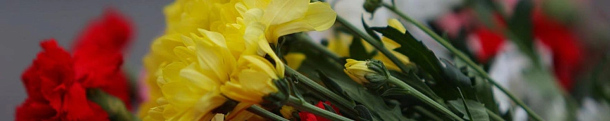 Фото: Антон Вергун 