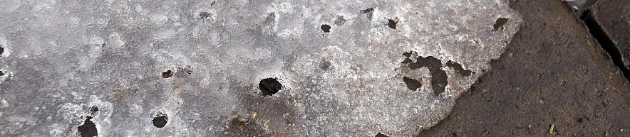 Фото: Сергей Егоров