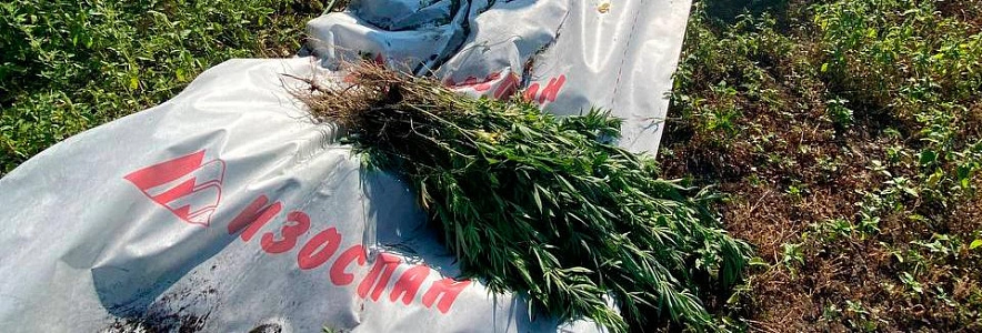 Фото: УМВД Белгородской области