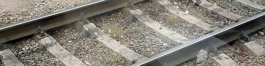 Фото: Сергей Егоров