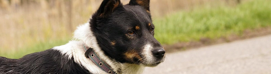 Фото: Сергей Егоров 