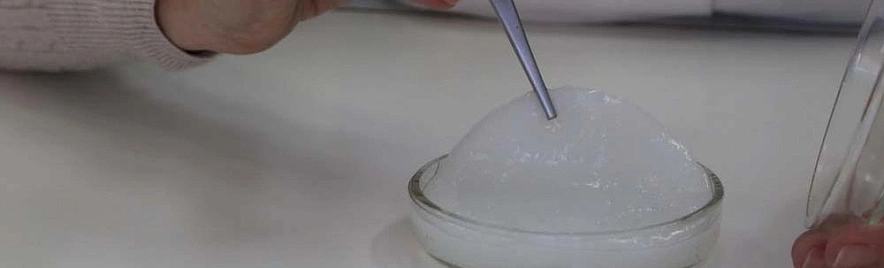 Фото: пресс-служба БелГУ