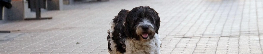 Фото: Сергей Егоров 