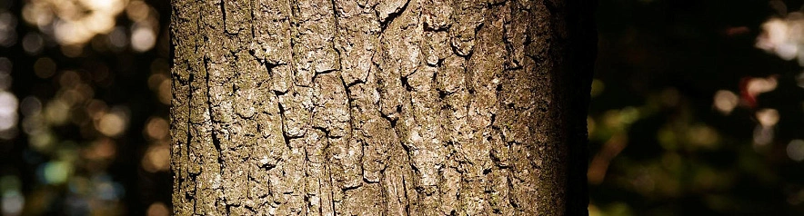 Фото: Сергей Егоров