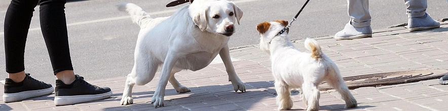 Фото: Сергей Егоров