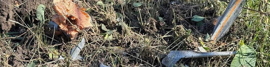 Фото: телеграм-канал Валентина Демидова