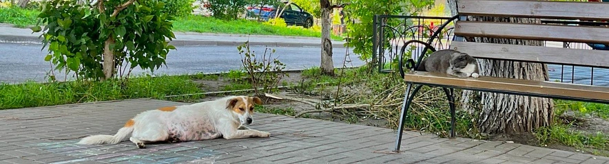 Фото: Анна Григор