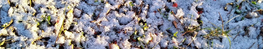 Фото: Сергей Егоров