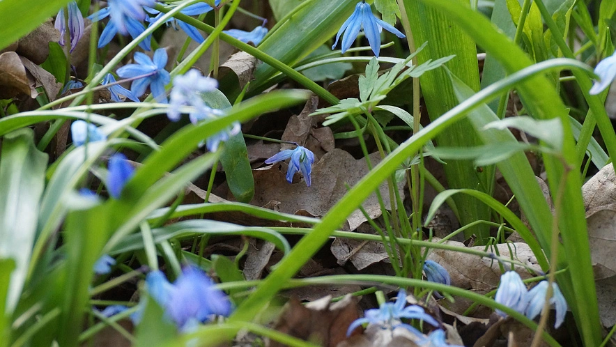 Фото: Сергей Егоров