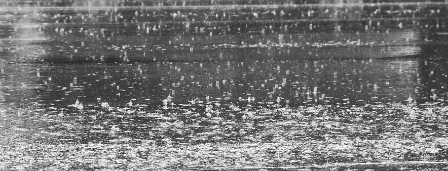 Фото: Сергей Егоров