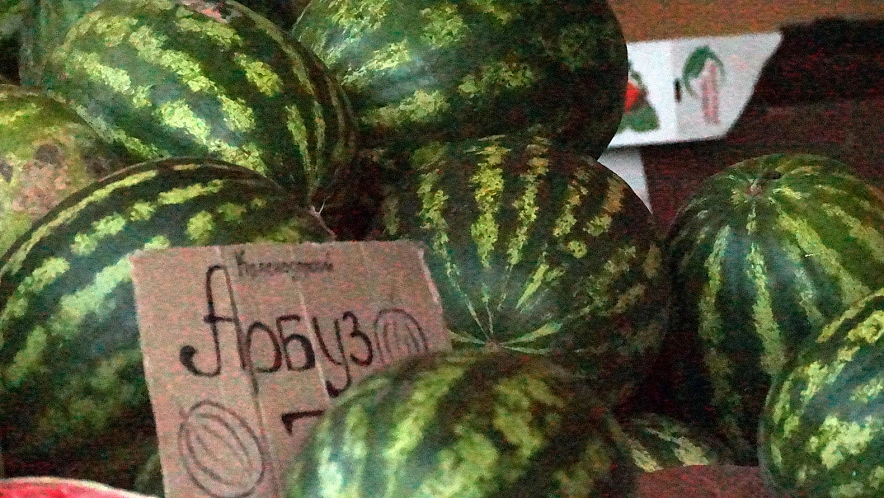 Фото: Сергей Егоров