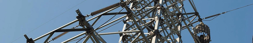 Фото: Сергей Егоров 